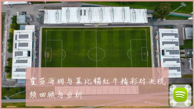 霍芬海姆与莱比锡红牛精彩对决视频回顾与分析
