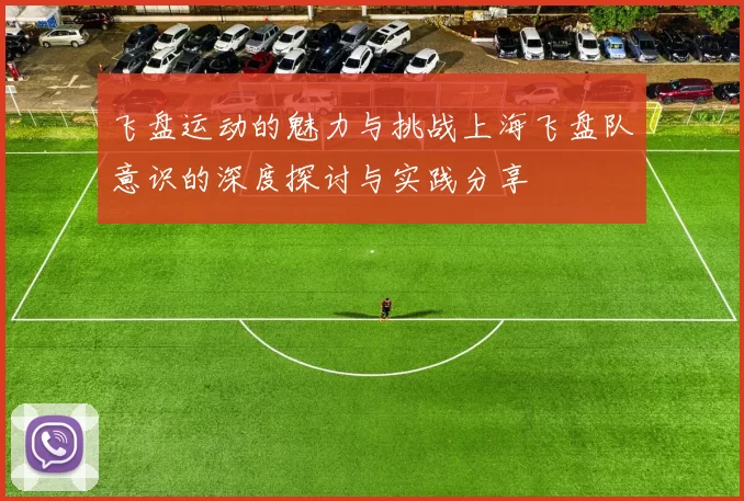 飞盘运动的魅力与挑战上海飞盘队意识的深度探讨与实践分享