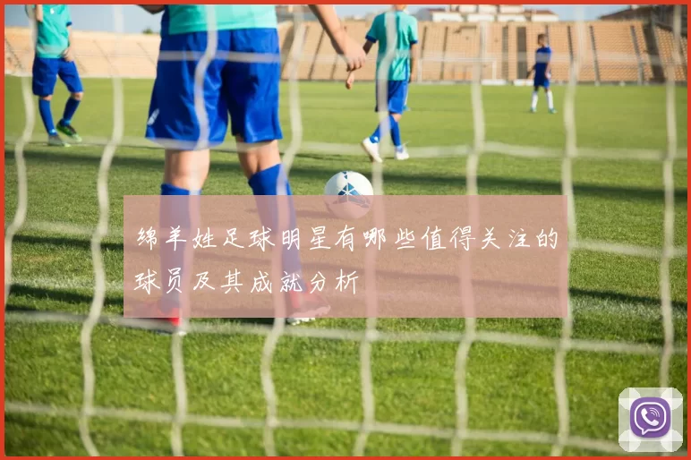 绵羊姓足球明星有哪些值得关注的球员及其成就分析