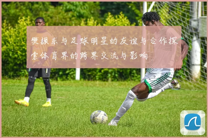 樊振东与足球明星的友谊与合作探索体育界的跨界交流与影响