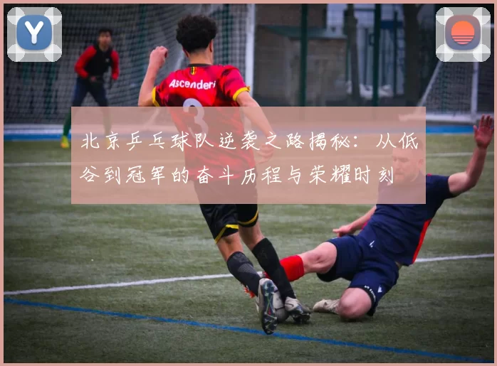 北京乒乓球队逆袭之路揭秘：从低谷到冠军的奋斗历程与荣耀时刻