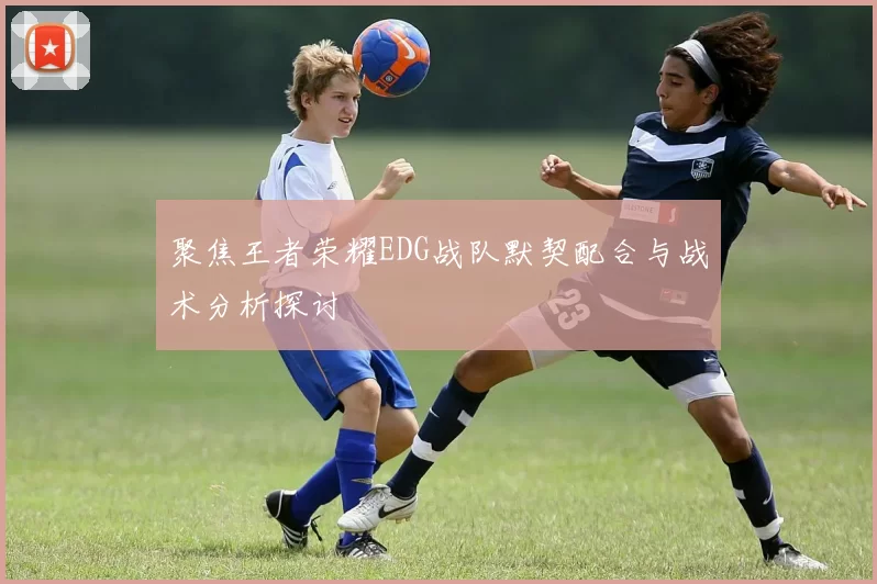 聚焦王者荣耀EDG战队默契配合与战术分析探讨