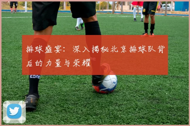 排球盛宴：深入揭秘北京排球队背后的力量与荣耀