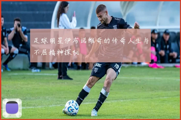 足球明星伊布诺维奇的传奇人生与不屈精神探秘