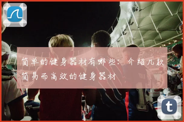 简单的健身器材有哪些：介绍几款简易而高效的健身器材