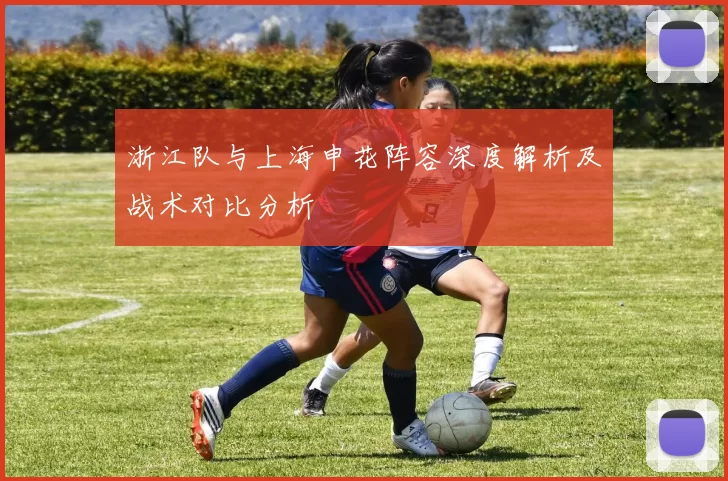 浙江队与上海申花阵容深度解析及战术对比分析