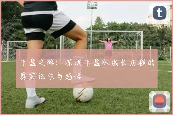 飞盘之路：深圳飞盘队成长历程的真实记录与感悟