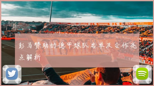 彭马赞助的德甲球队名单及合作亮点解析