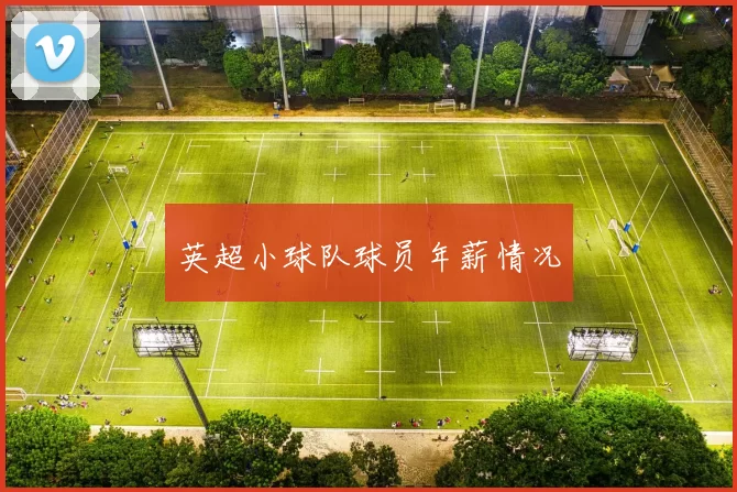 英超小球队球员年薪情况