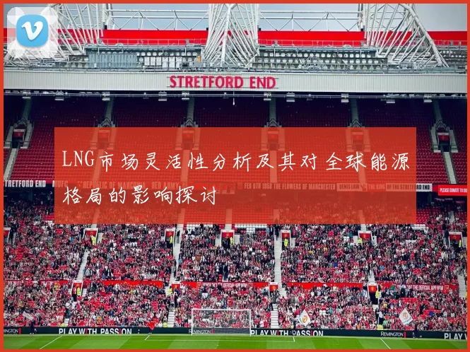 LNG市场灵活性分析及其对全球能源格局的影响探讨