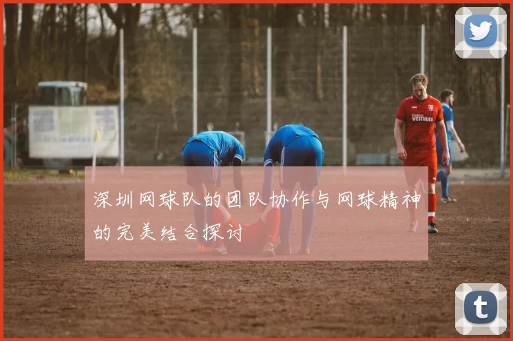 深圳网球队的团队协作与网球精神的完美结合探讨